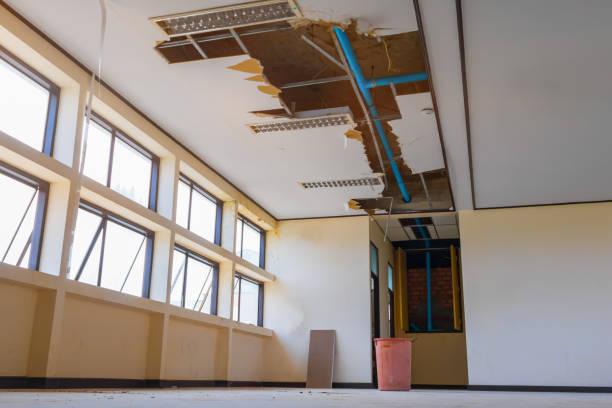 Best Local water damage restoration  in Gold Bar, WA