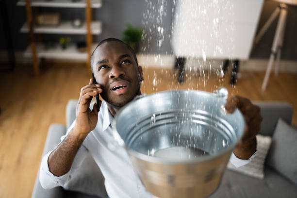 Best Carpet water damage restoration  in Gold Bar, WA