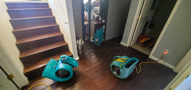 Best 24/7 water damage repair  in Gold Bar, WA