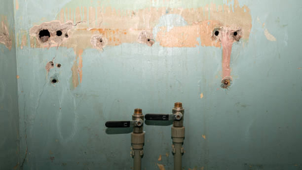 Best Flood damage cleanup  in Gold Bar, WA