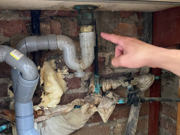 Best Water damage restoration near me  in Gold Bar, WA