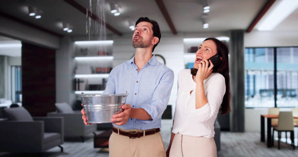 Best Ceiling water damage repair  in Gold Bar, WA