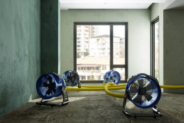 Best 24-hour water damage restoration  in Gold Bar, WA